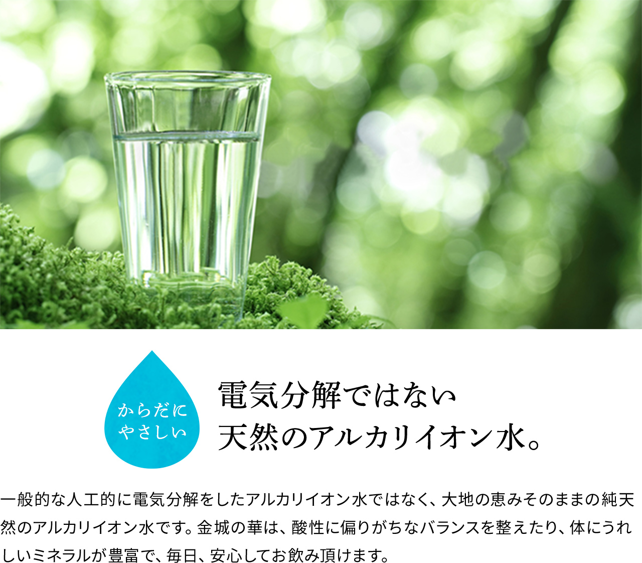 からだにやさしい 電気分解ではない天然のアルカリイオン水。 森一般的な人工的に電気分解をしたアルカリイオン水ではなく、大地の恵みそのままの純天然のアルカリイオン水です。金城の華は、酸性に偏りがちなバランスを整えたり、体にうれしいミネラルが豊富で、毎日、安心してお飲み頂けます。