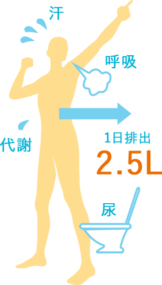 人間の成人の場合、日に約2.5ℓ以上の水分が排出されます。